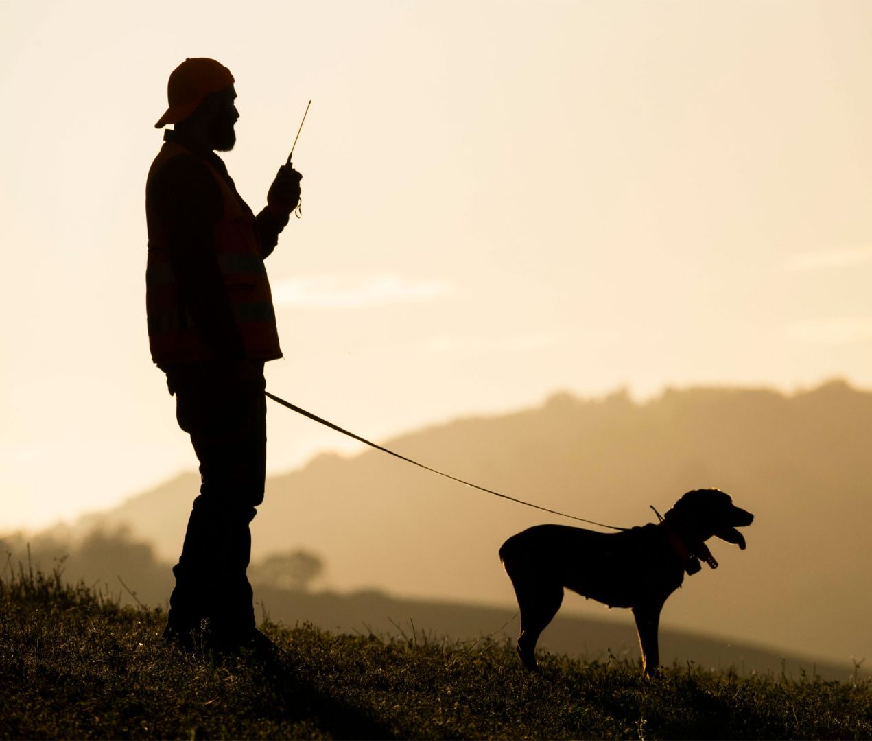 Chasse et pêche