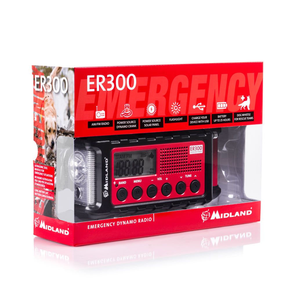 ER300